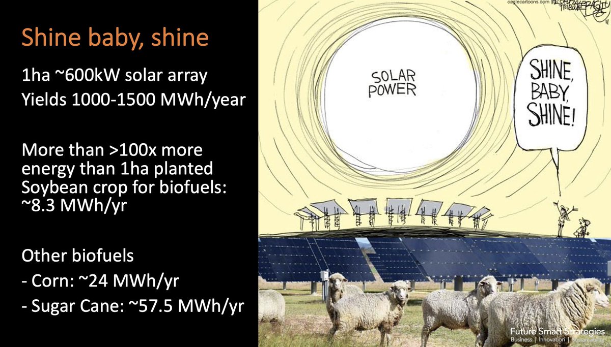 Prof Ray Wills tweet media