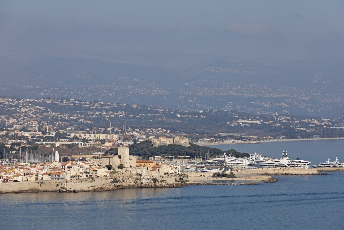 Brian Webb tweet media