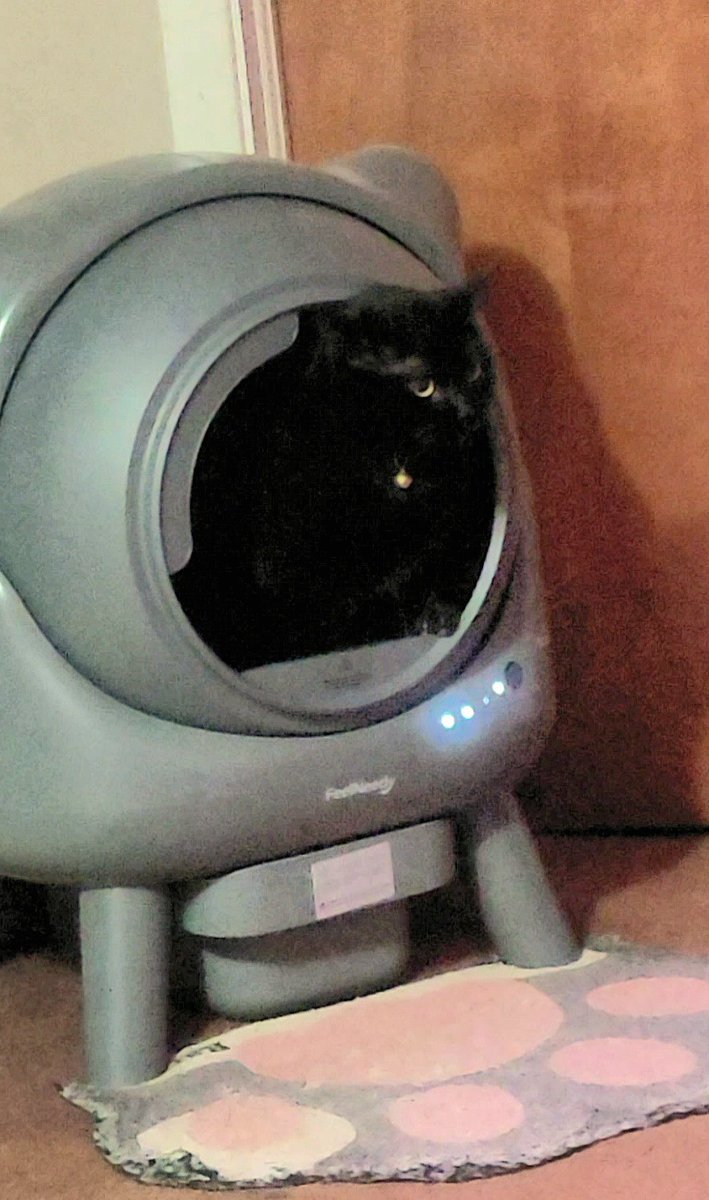 Ixion Form tweet media