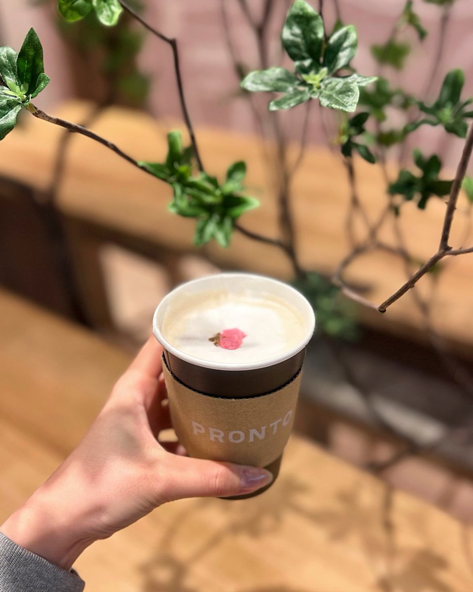 プロント tweet media