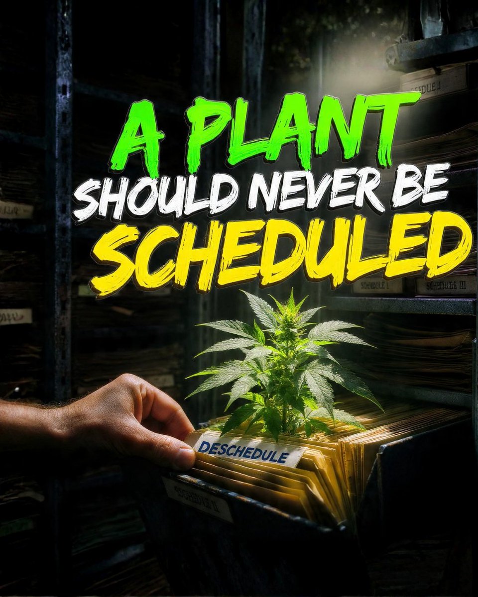 Some things aren't meant to be locked up in dusty old files. A plant should be allowed to grow, not stay stuck in outdated schedules. It's time to apply some common sense and clear out the regulations holding back real progress and opportunity for everyday people. Let's get