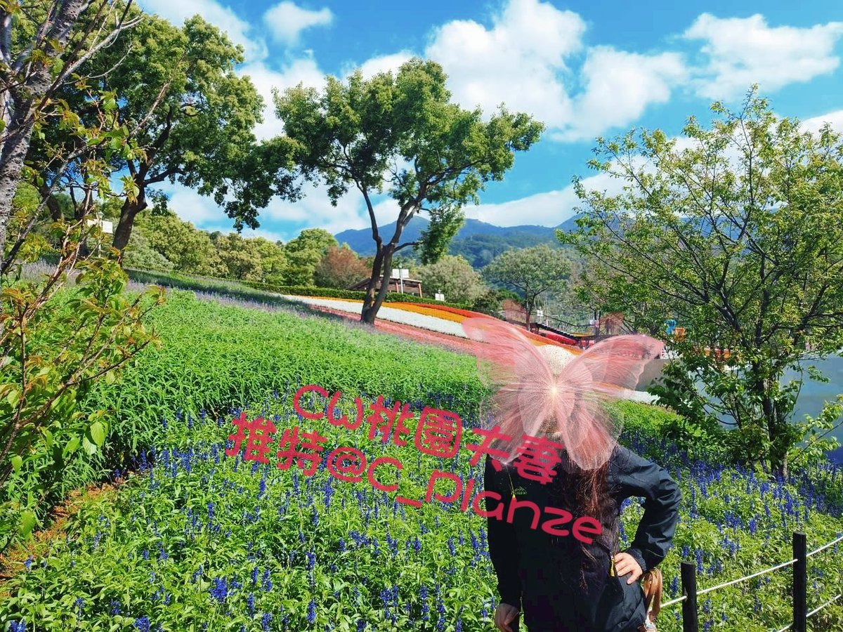 CW桃園夫妻 tweet media