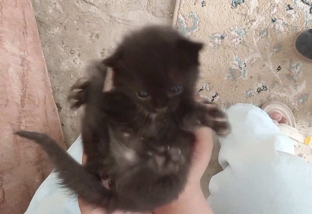 جـنى tweet media