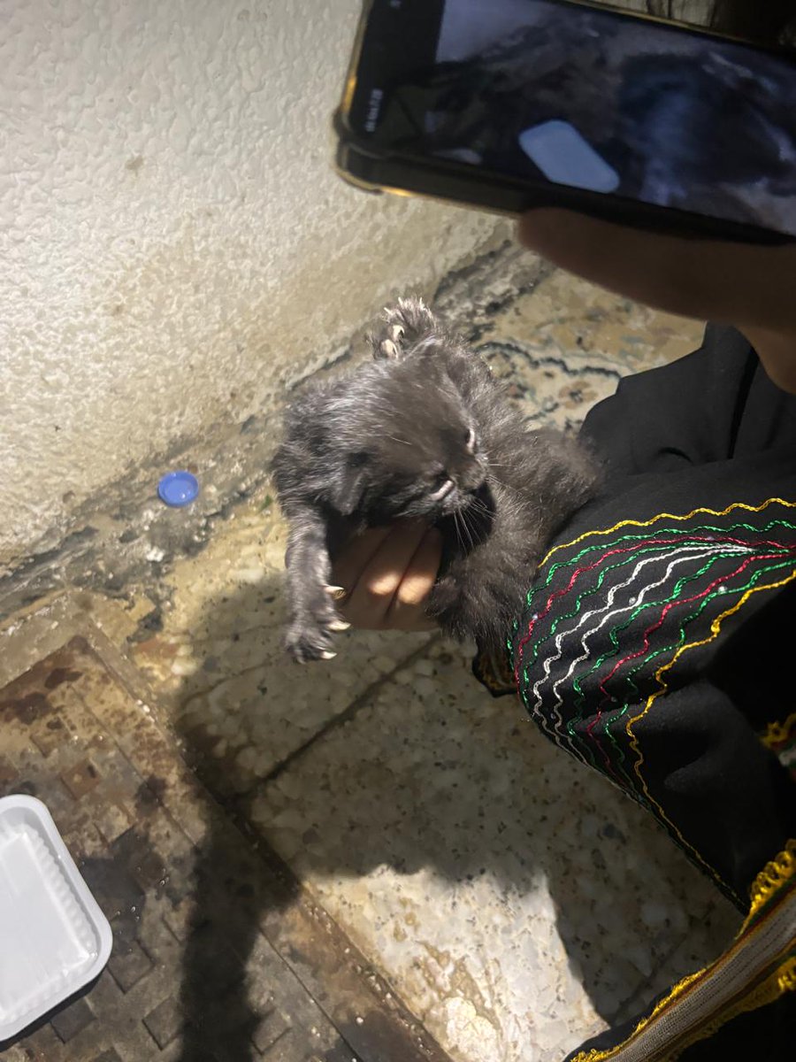 جـنى tweet media