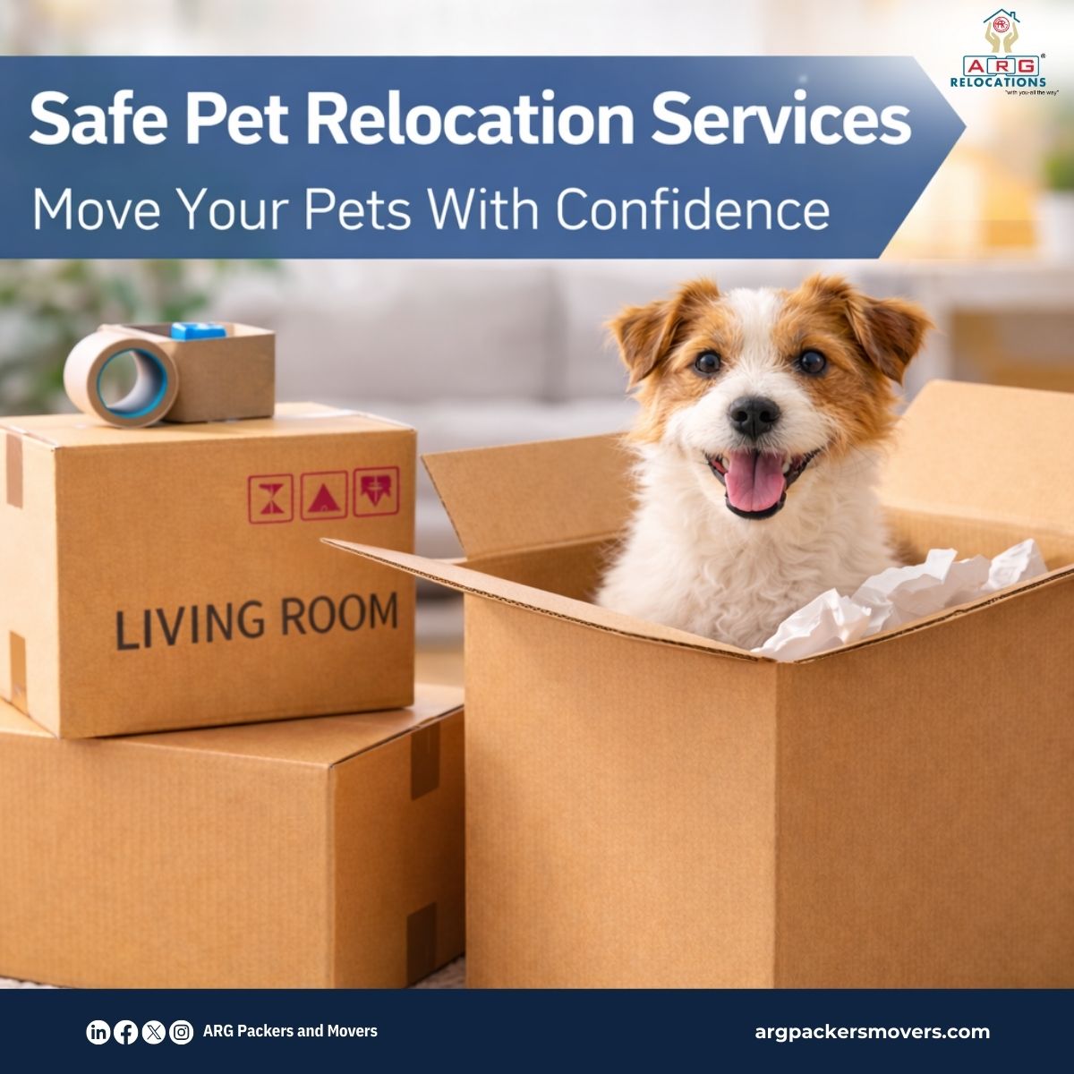 ArgMovers's tweet image. Moving with pets? We’ve got them covered too! 🐾

ARG Relocations ensures your furry family members travel safely and comfortably to their new home.

Because pets deserve a stress-free move just like you.

📞 +91 93 7626 1616
🌐 argpackersmovers.com
#PetRelocation