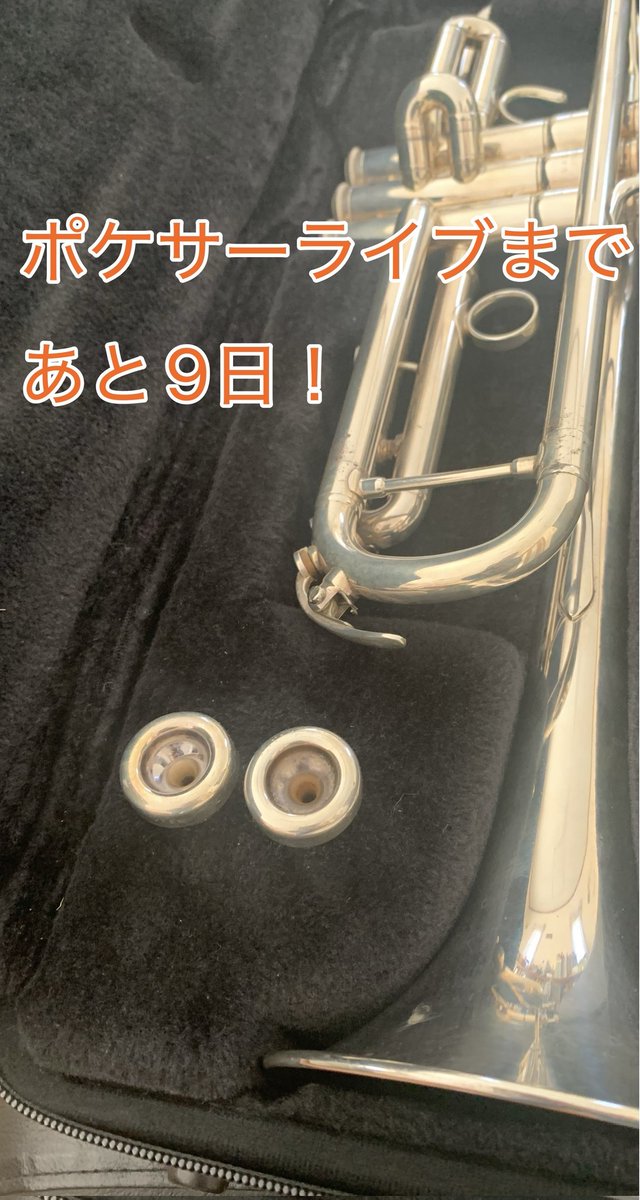 pokecirclelive's tweet photo. #ポサライ2026 開演まであと9️⃣日！
MPGのしいたけさんよりメッセージです！

"MPG所属のしいたけです！
久しぶりの楽器演奏ですが、「アンコール」がいただけるような演奏ができるよう頑張ります！
是非楽しんでください！" https://t.co/rekMOiSOZ1