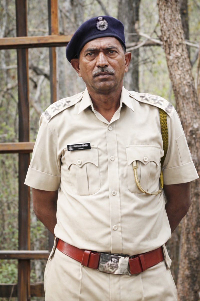 Parveen Kaswan, IFS tweet media