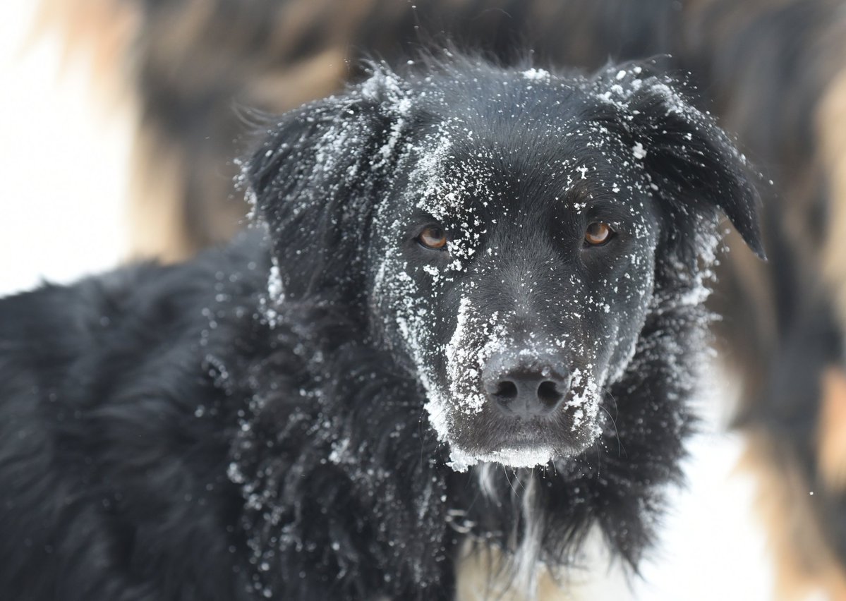 Cooper English tweet media