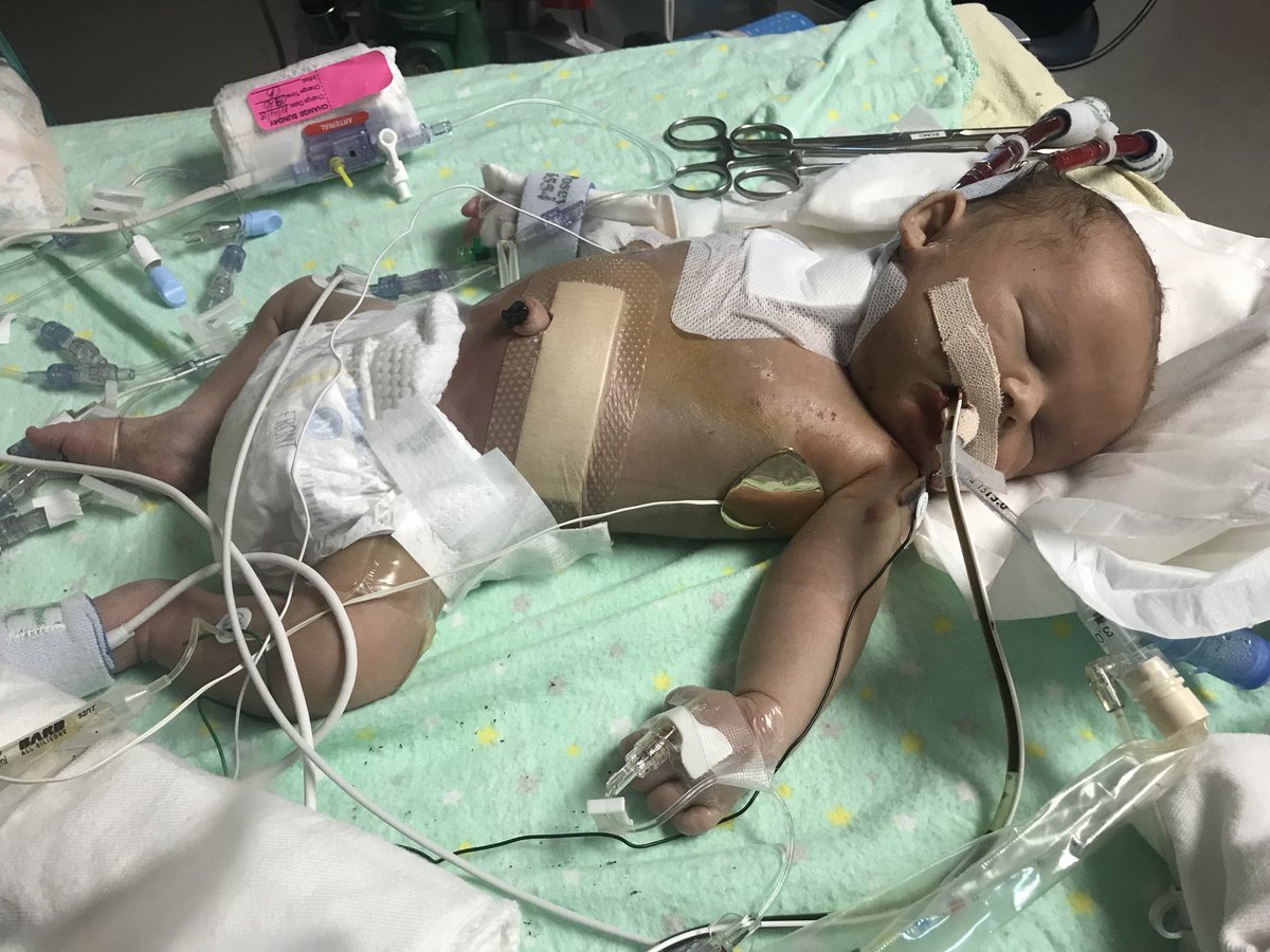 Walk With Him tweet media