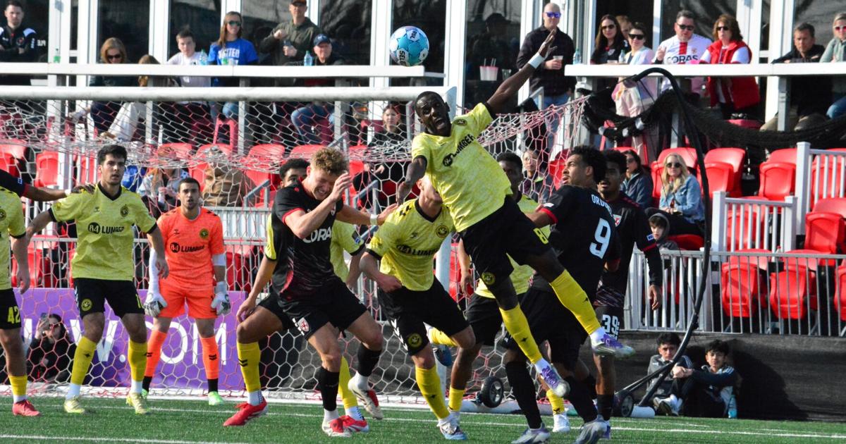 Loudoun Now tweet media