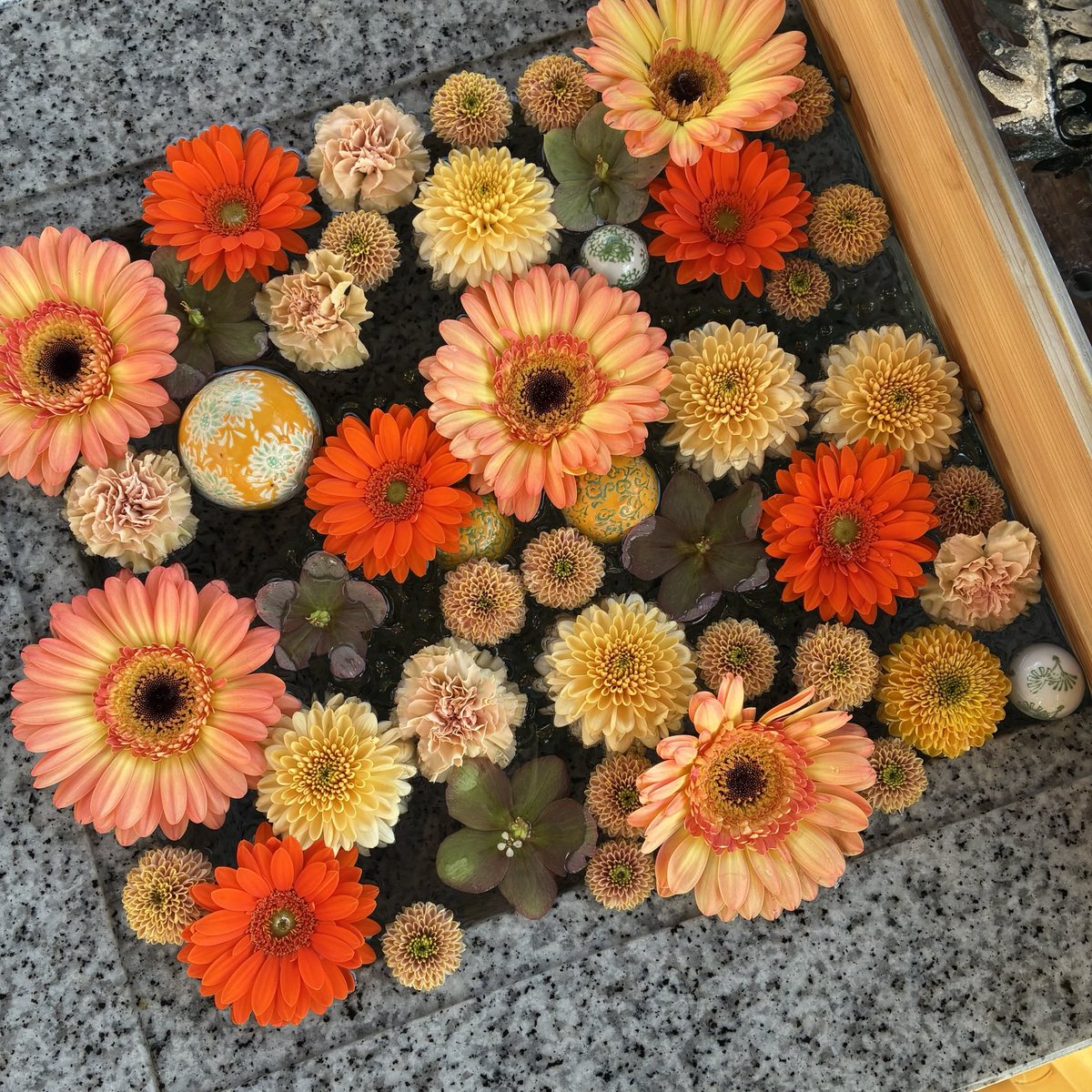 d`ici peu tweet media