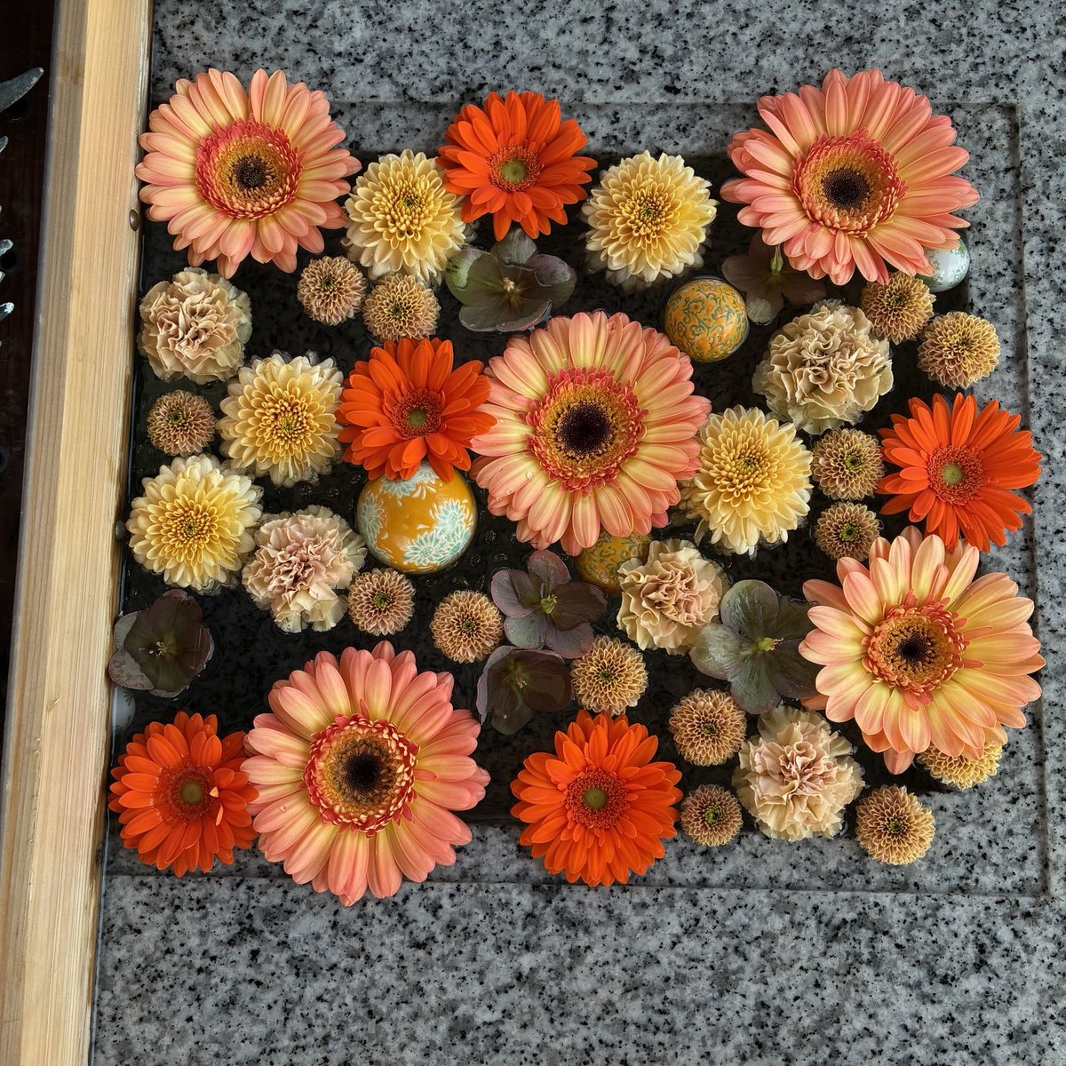 d`ici peu tweet media