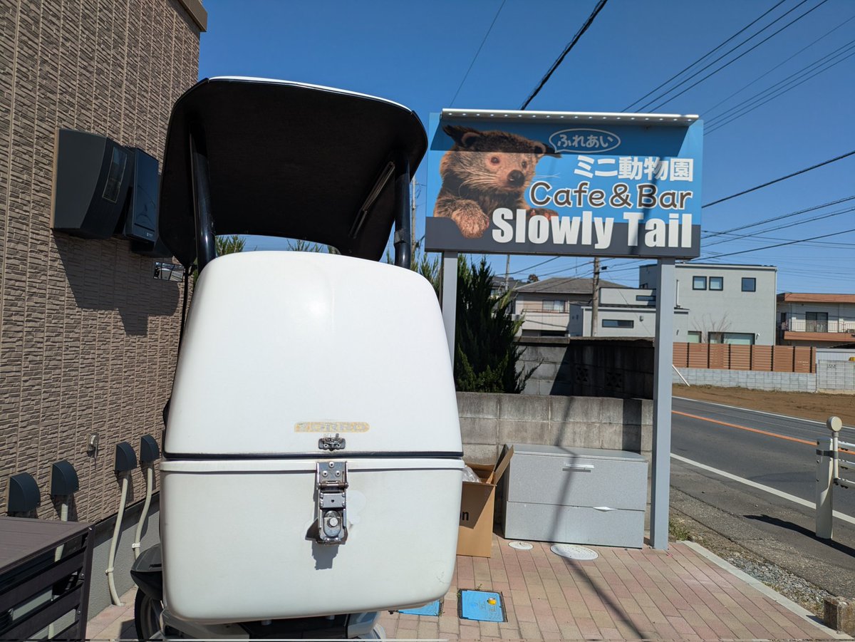 ぐぅさ tweet media