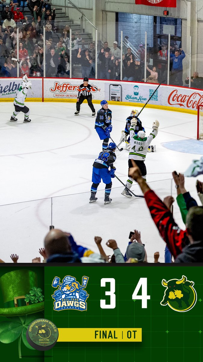 Birmingham Bulls tweet media