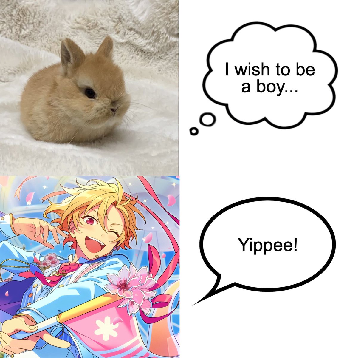 🫧 rorochin ☆ tweet media