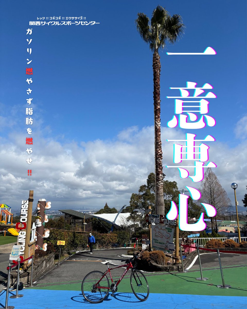 本日も最高のサイクリング日和。
空に向かって真っ直ぐに伸びるヤシの木のように、私たちも「一意専心」、ただひたすらに安全なコースを守り続けています。

皆様に全力で遊んでもらい、クタクタになって、最後には「最高の寝顔」で就寝できるようスタッフも頑張ります‼ 😴