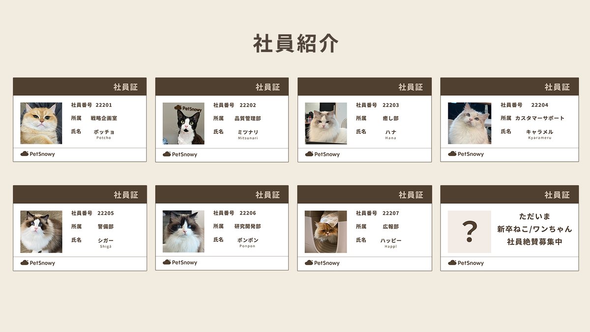 PetSnowy | ペット用品😺🐶 tweet media