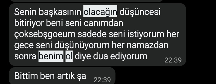 selin tweet media