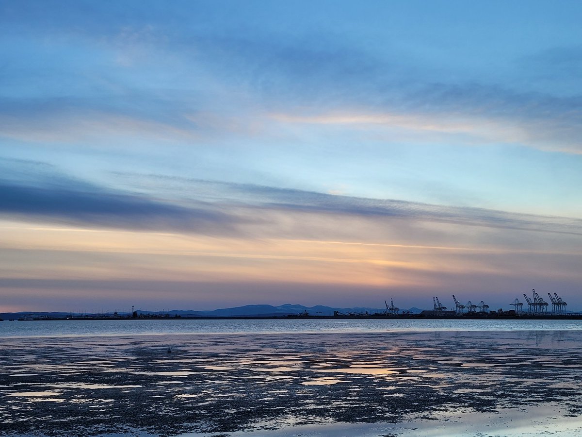 💪🍁🇨🇦🇨🇦Not X 🇨🇦🇨🇦🍁💪 tweet media