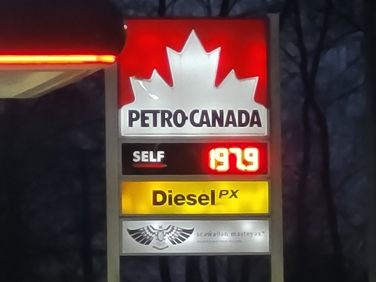 💪🍁🇨🇦🇨🇦Not X 🇨🇦🇨🇦🍁💪 tweet media