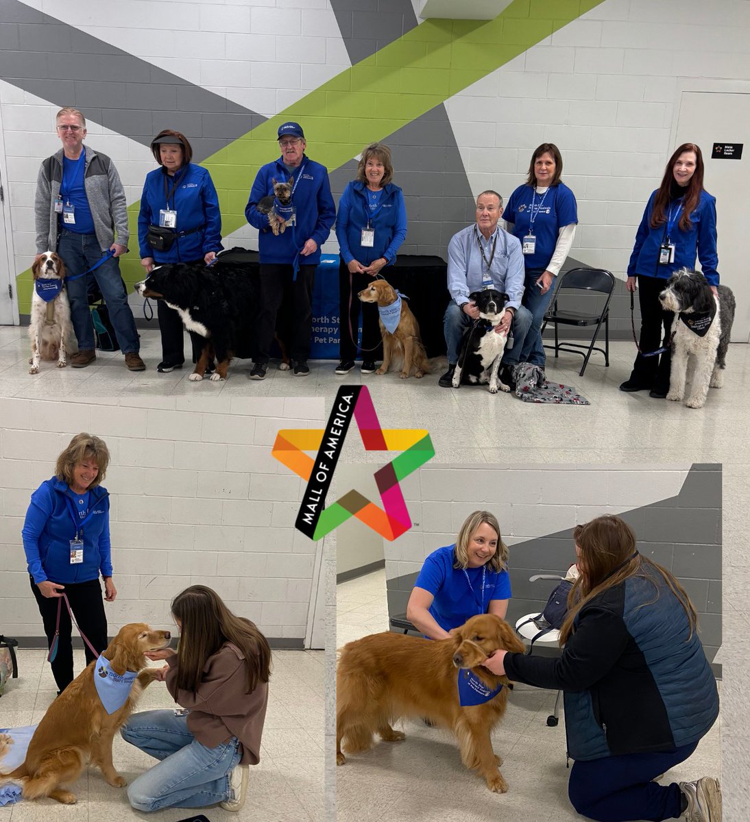 North Star Therapy Animals of Pet Partners tweet media