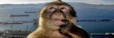 SS_Stormboat tweet media