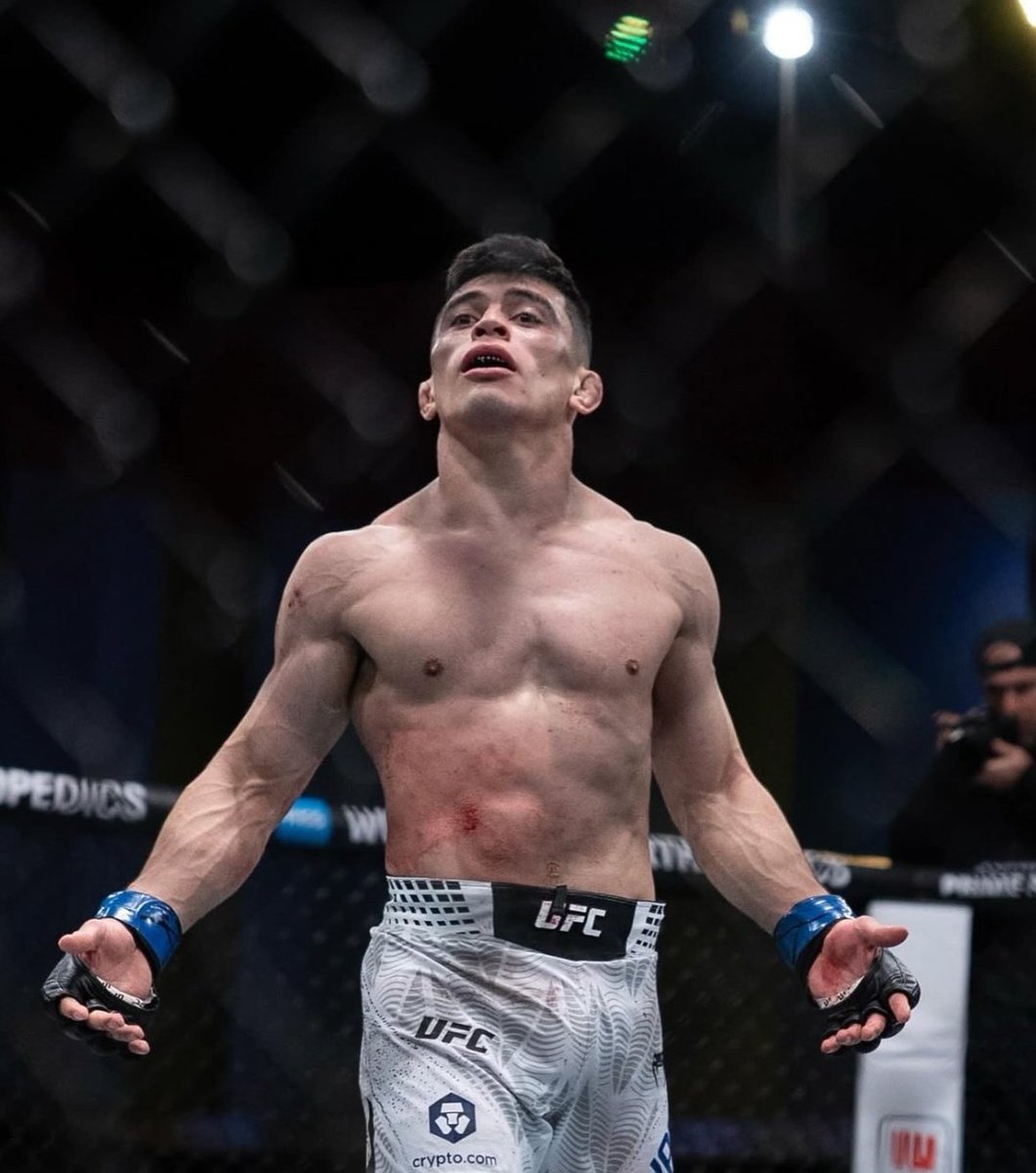 albicelesteilu's tweet photo. ✅️ Choi (KO1)
✅️ Silva (decisión)
✅️ Chikadze (KO2) 
✅️ Emmett (KO1) 

🇦🇷 Kevin Vallejos está 4-0 en UFC. https://t.co/T2vJa5QwnF