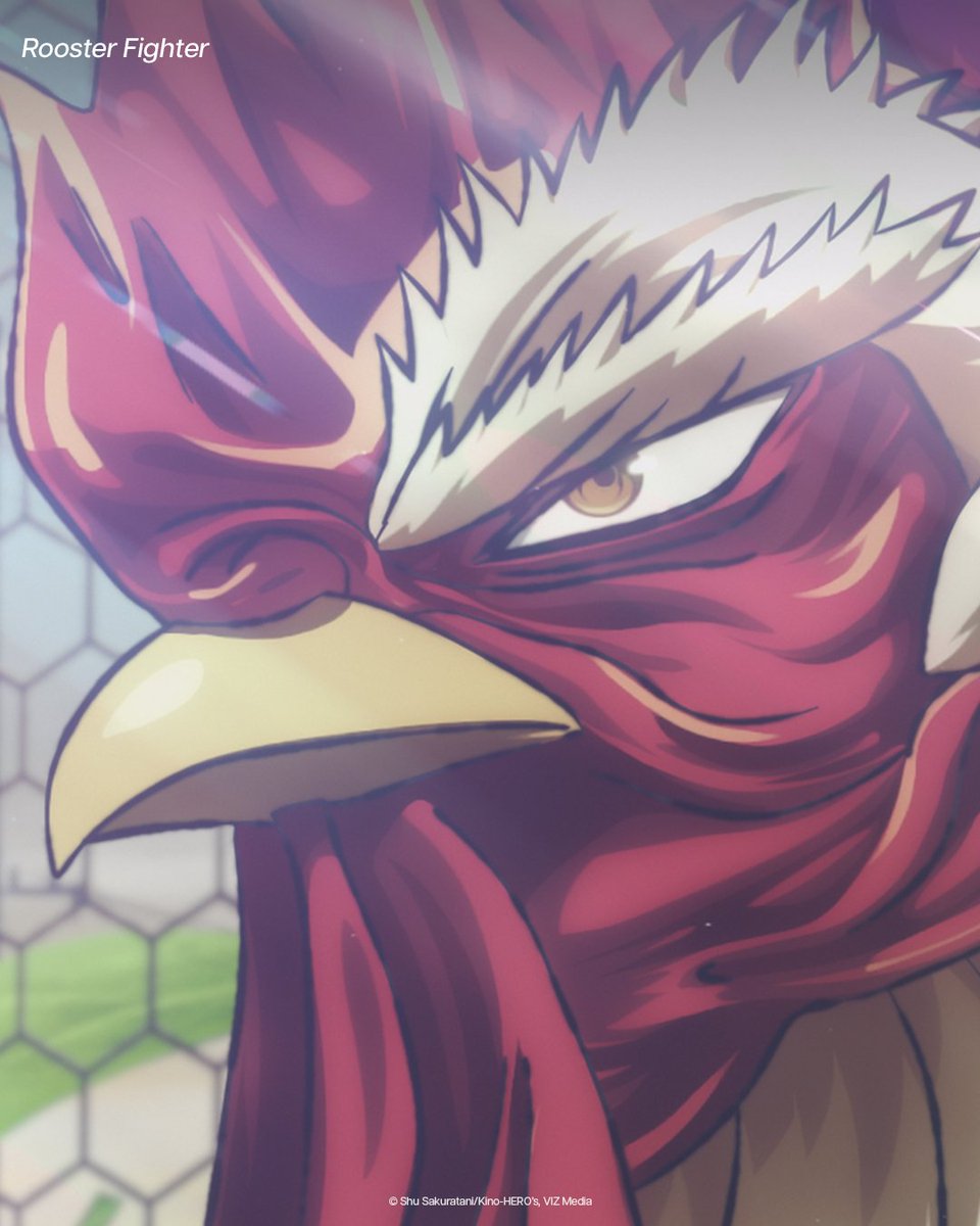 Disney+ Latinoamérica tweet media