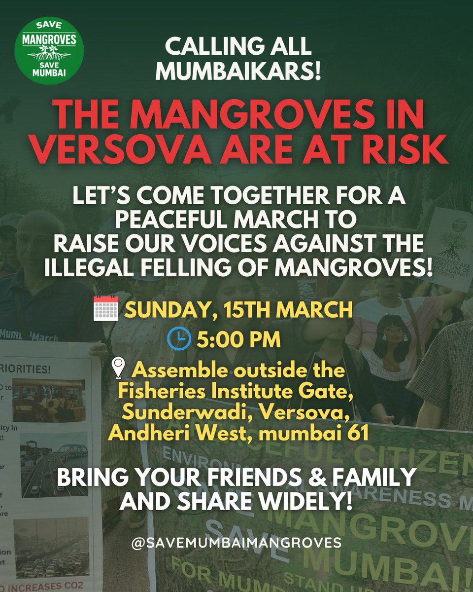 tejaswini 🌏 tweet media