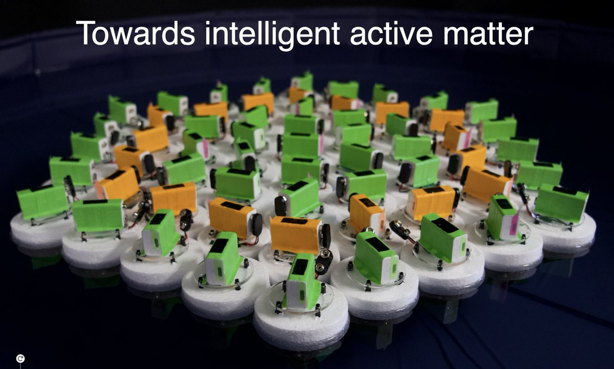 Tzer Han Tan tweet media