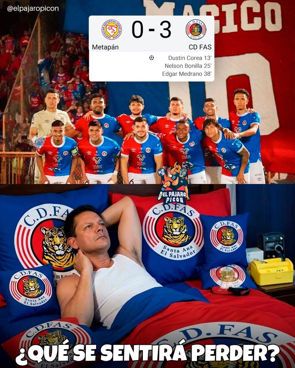 El Pájaro Picón tweet media