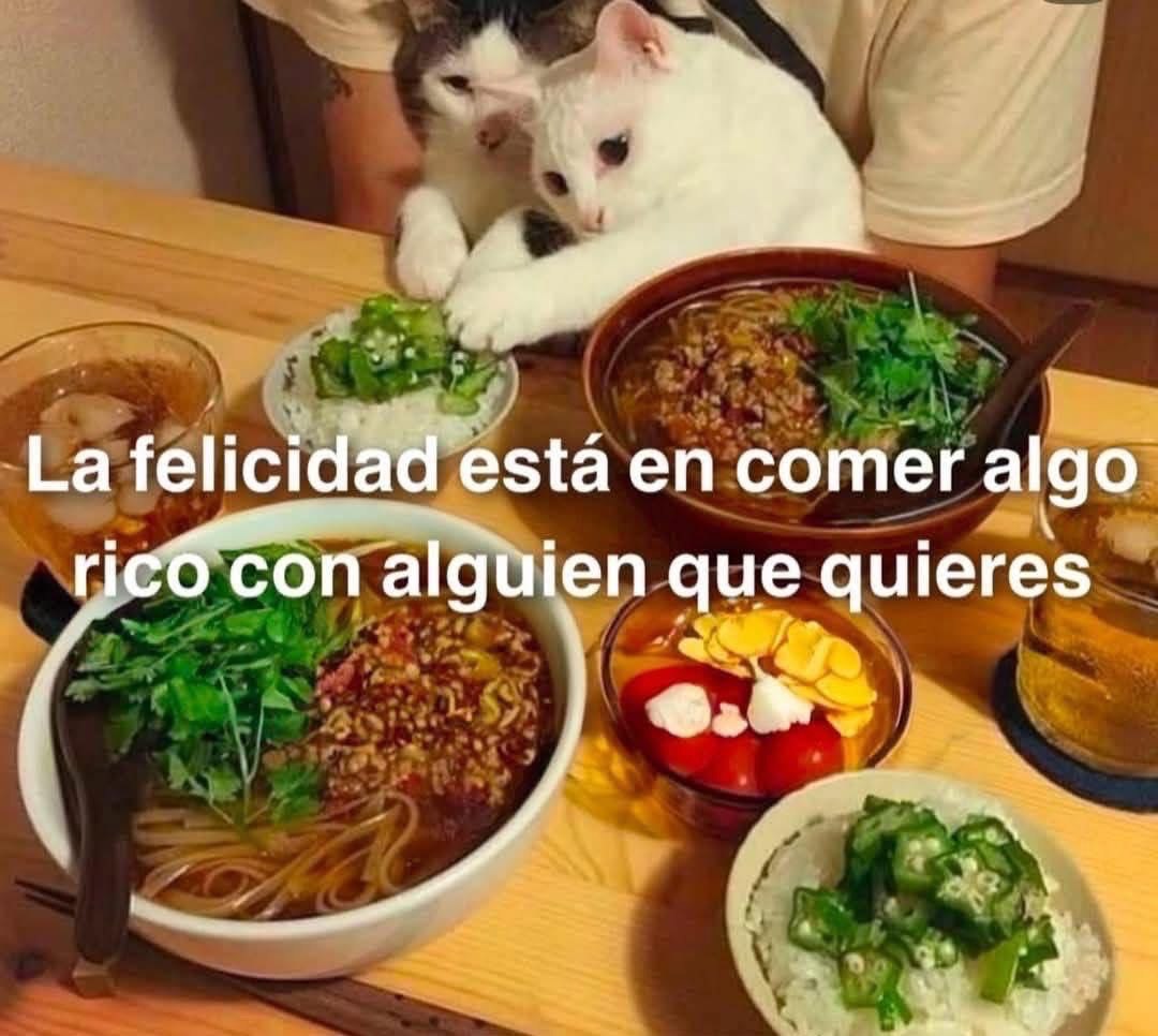 Mundo de Bigotes tweet media