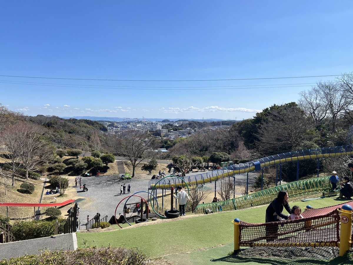 おのでらきさお tweet media