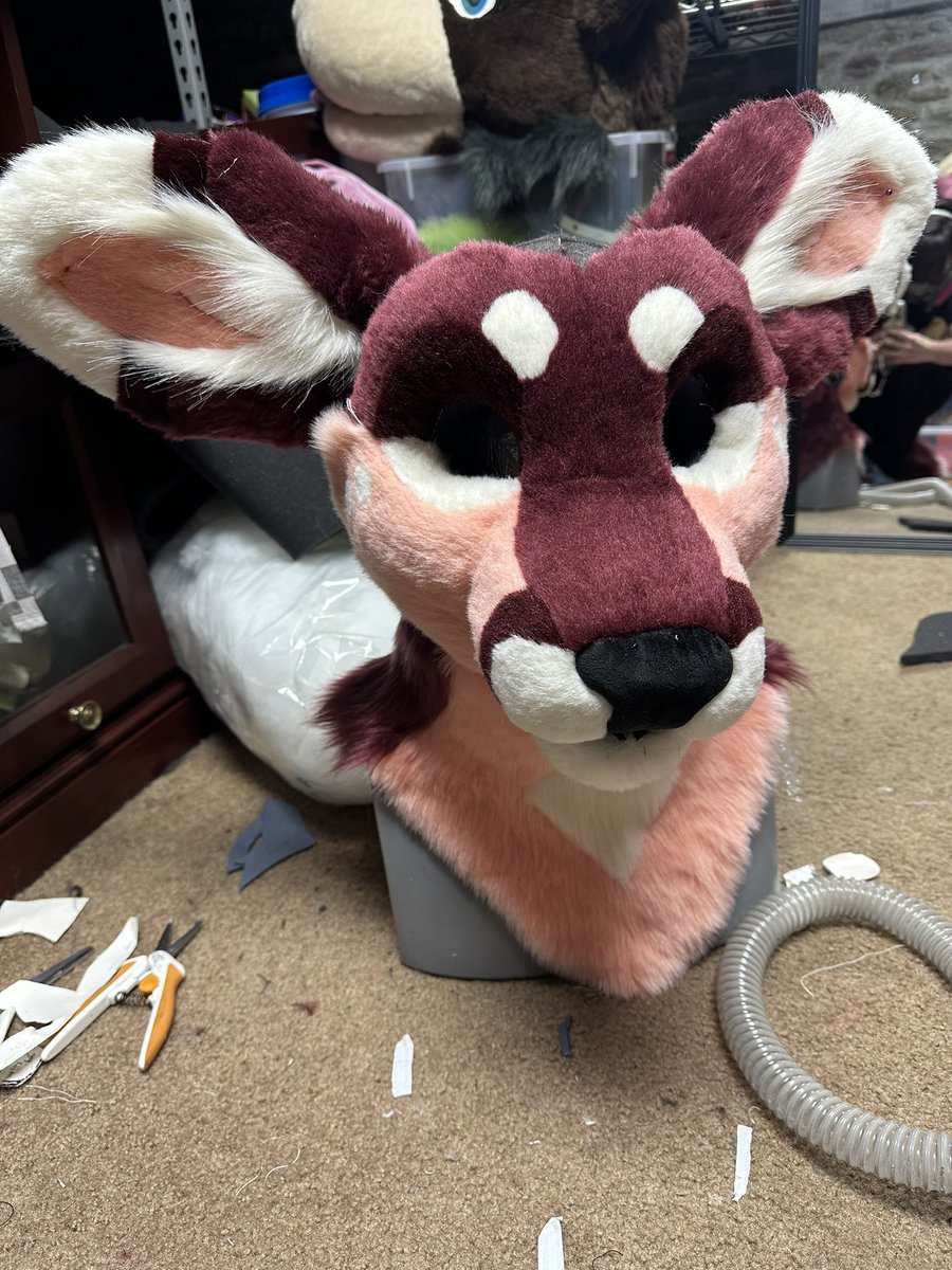 Giavenchi ✨🪡 tweet media