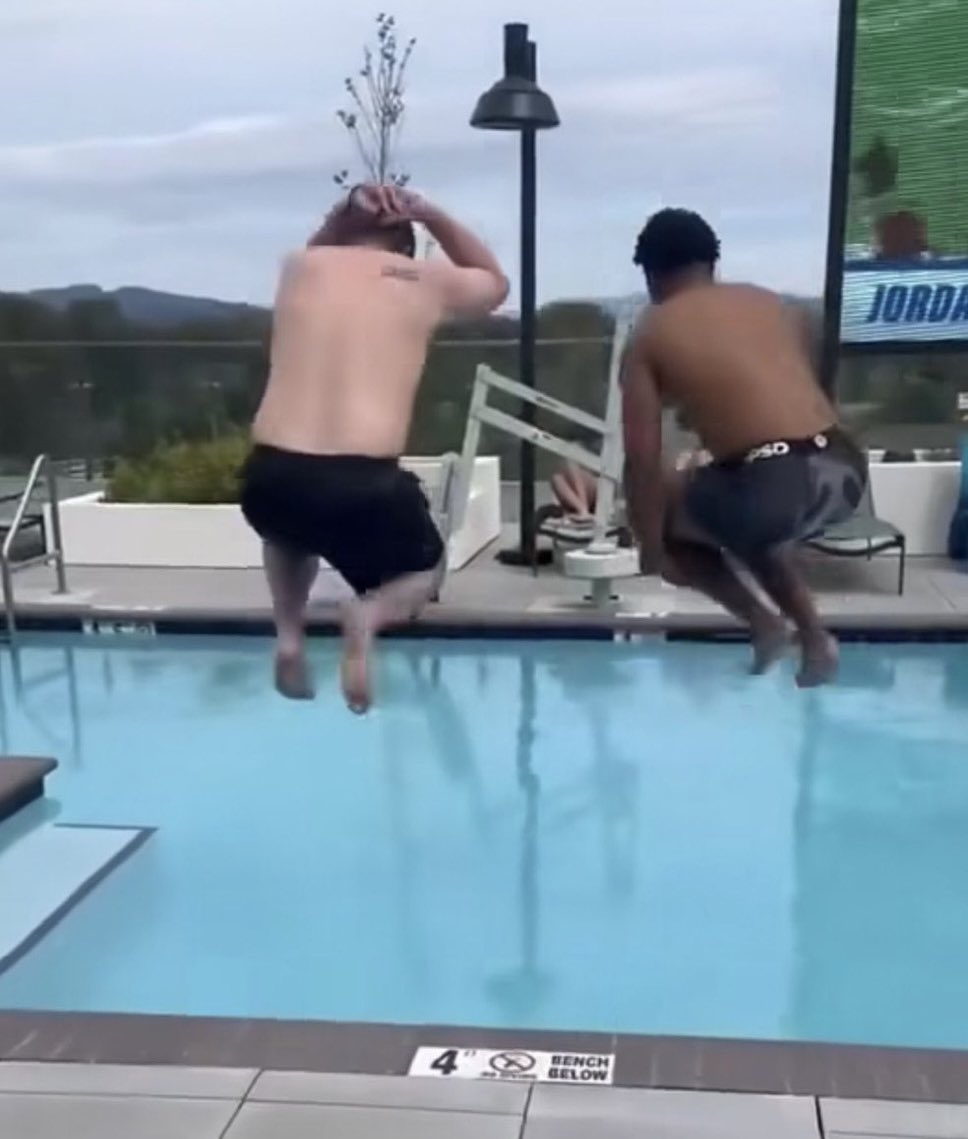 thecardinalandbold tweet media