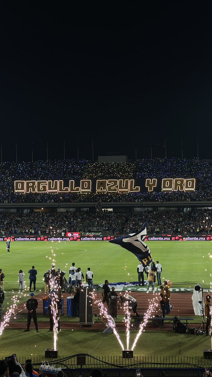 Fabrizio Domínguez Castilla tweet media