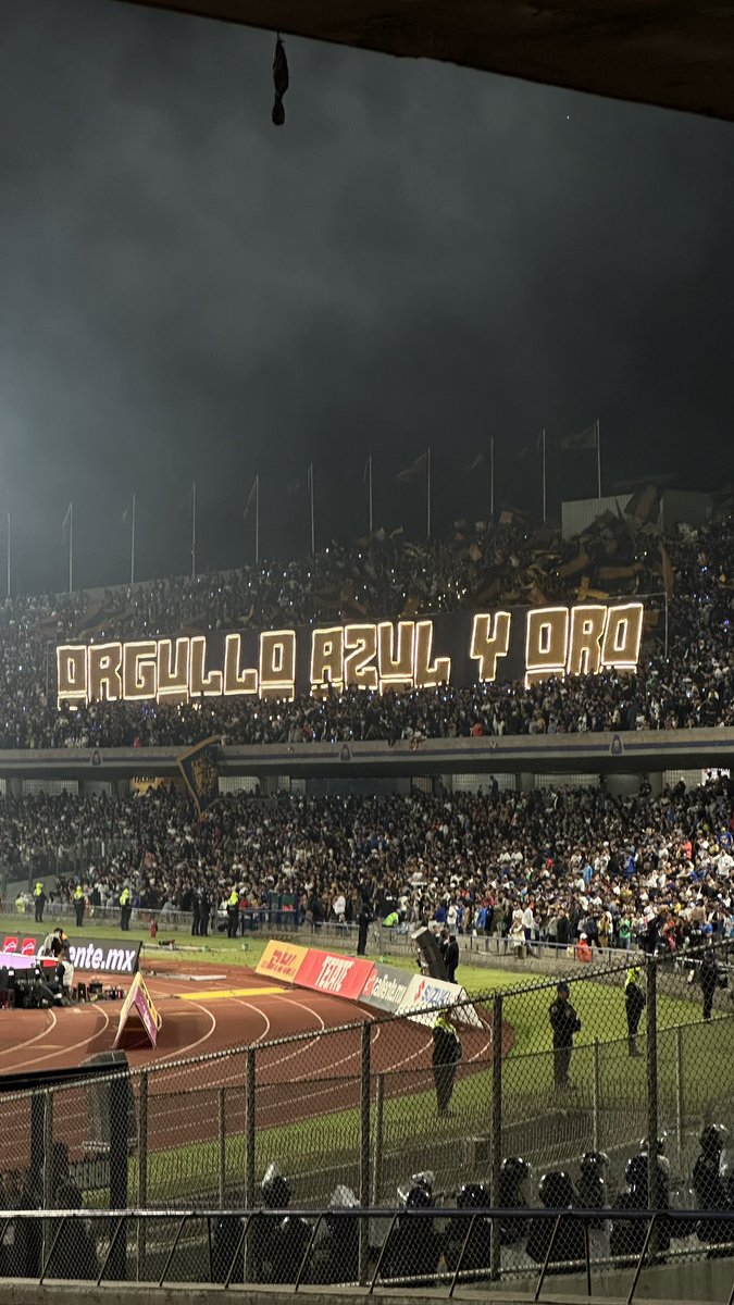 Fabrizio Domínguez Castilla tweet media