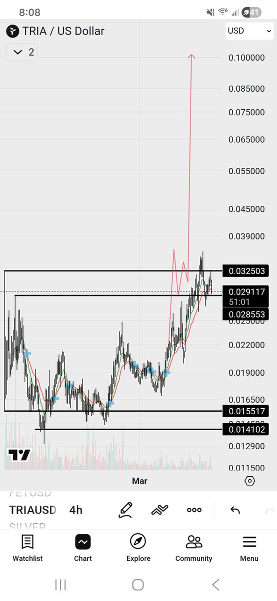 Nick Papagiorgio tweet media