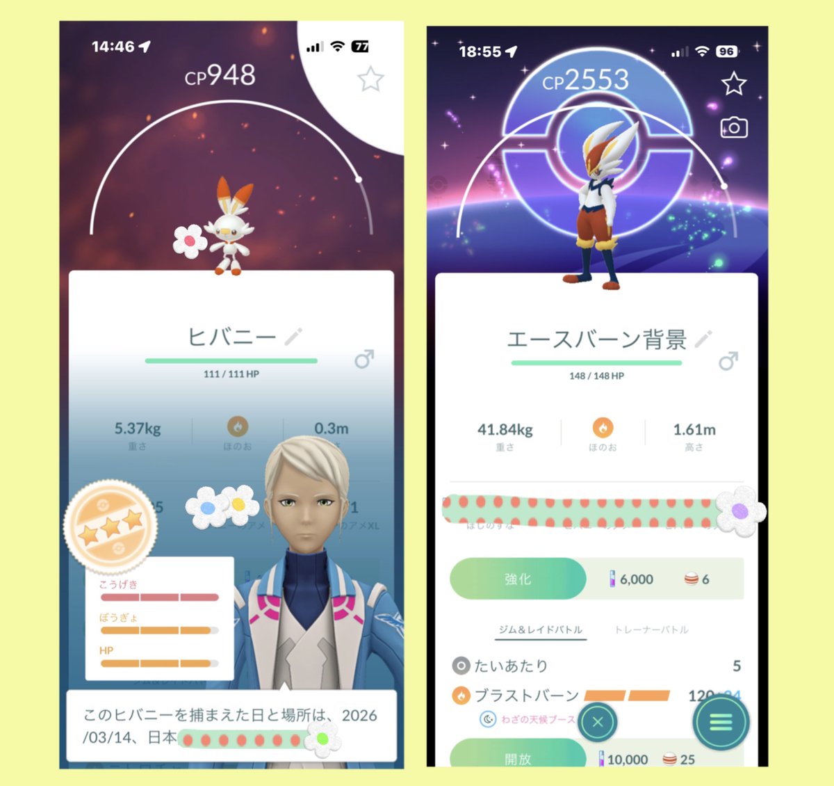 ほしのゆう𓇼𓈒𓐍 tweet media