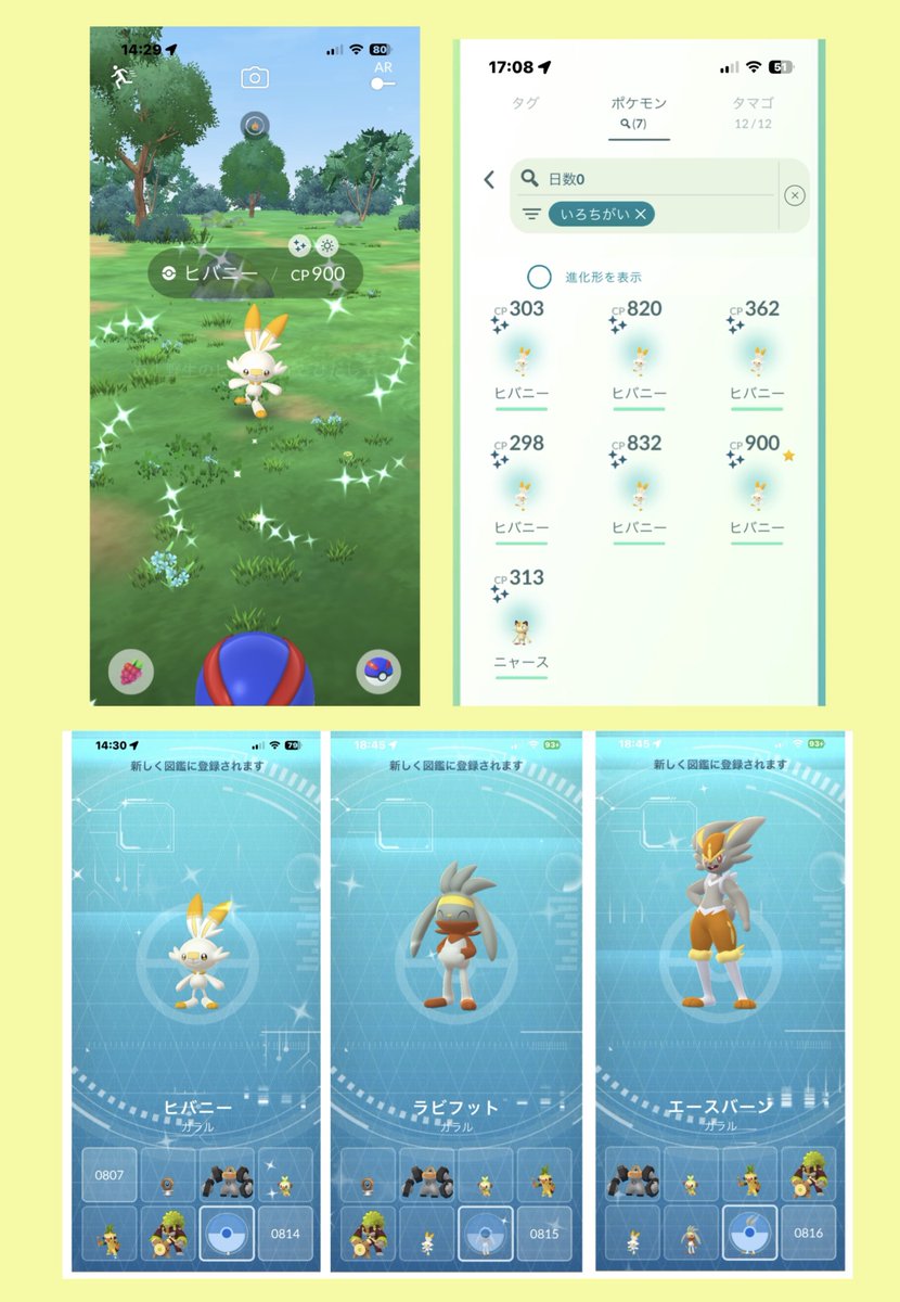 ほしのゆう𓇼𓈒𓐍 tweet media