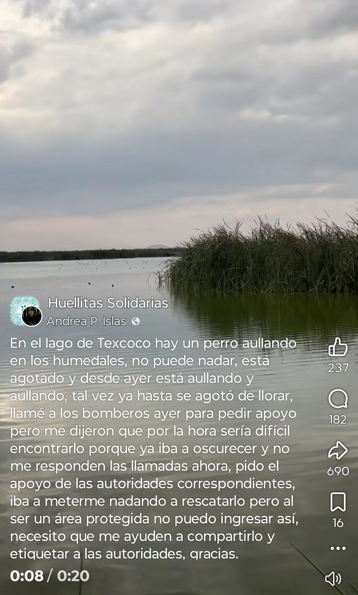 ABRYLHONEY's tweet photo. @Animales_CDMX @FundacionToby @LicAnimalista @Mr_Civico @Edomex , @delfinagomeza, los bomberos no quisieron ayudar mejor https://t.co/RnNhrBjRPE