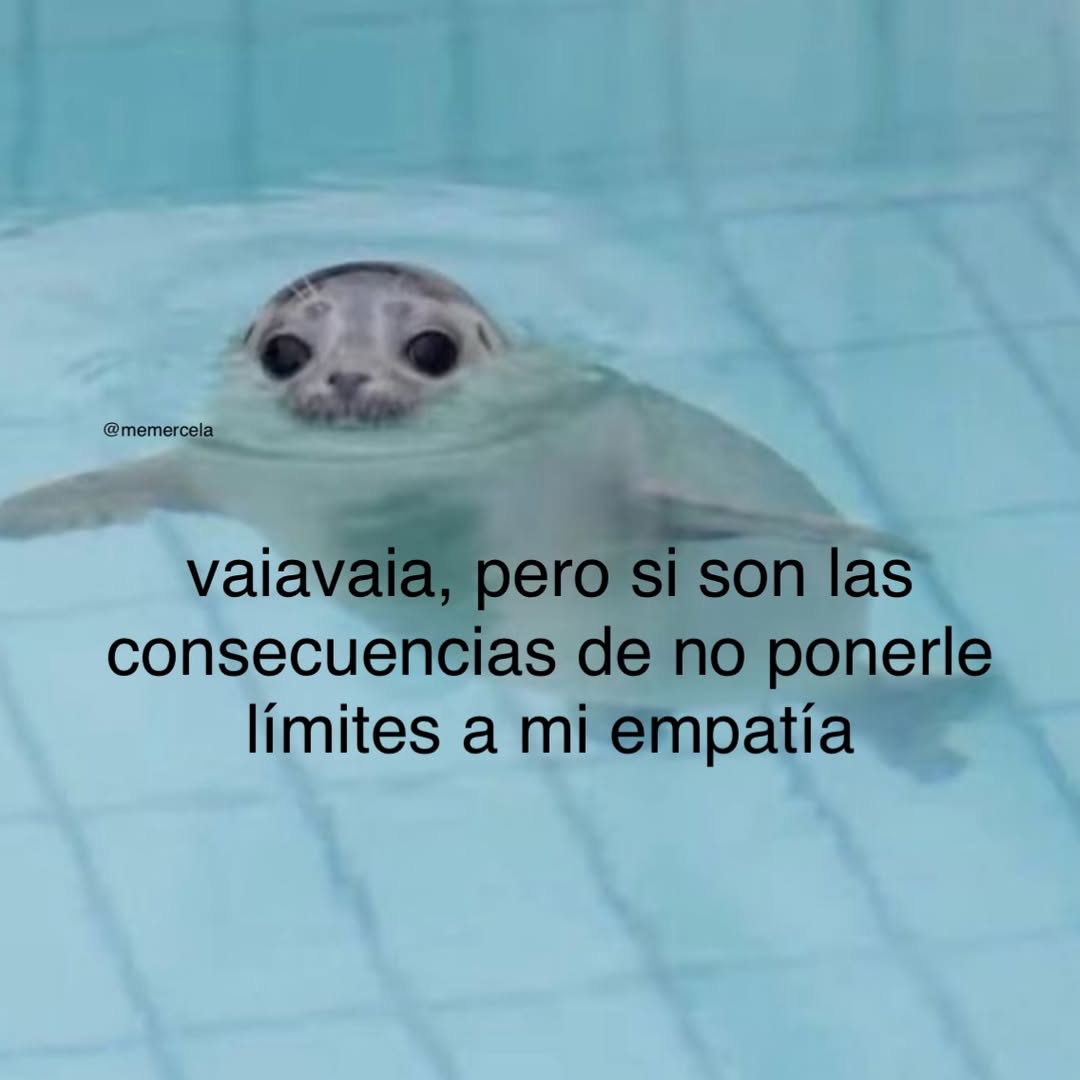 Mundo de Bigotes tweet media