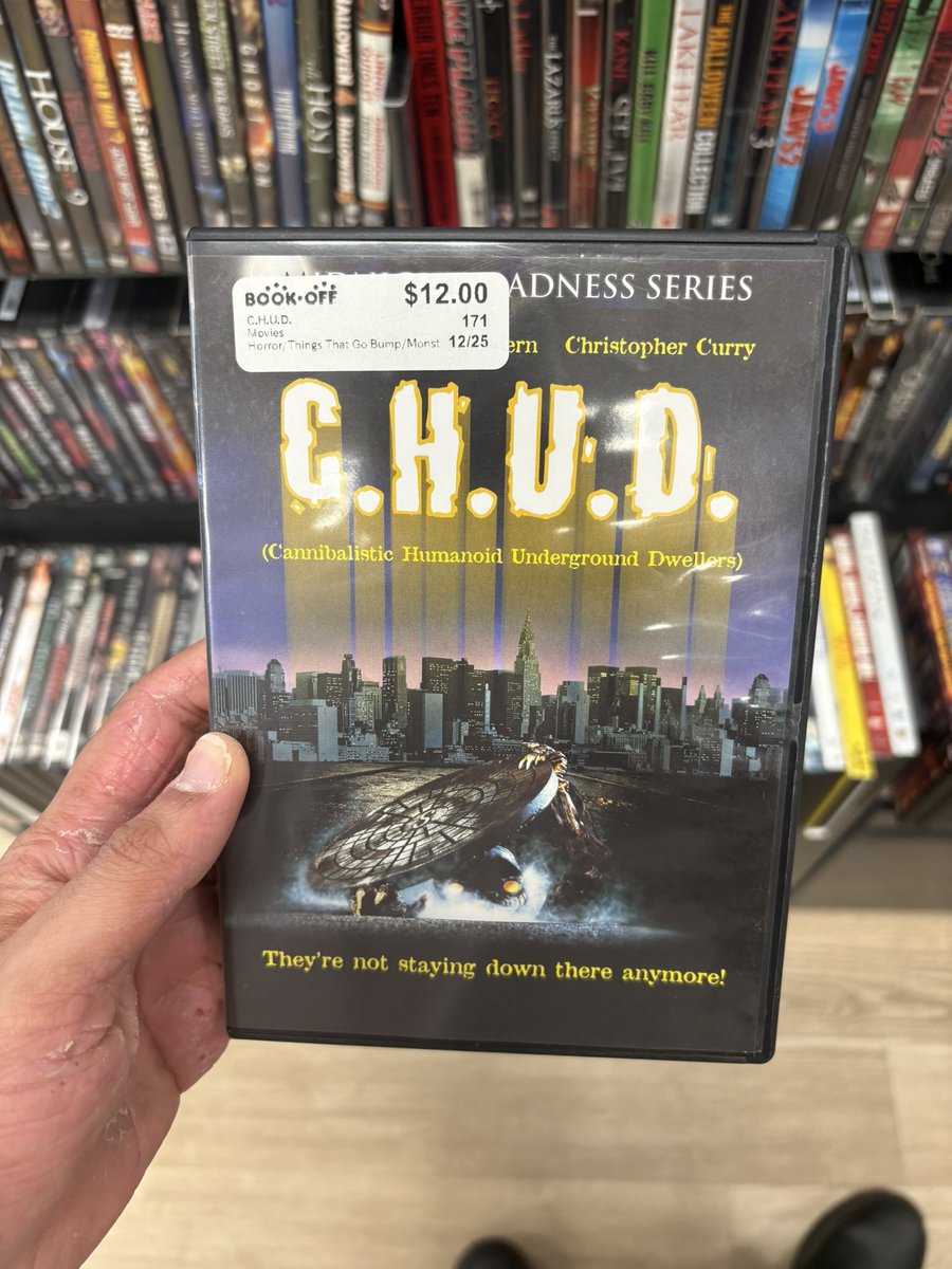 solar (commissions open) tweet media