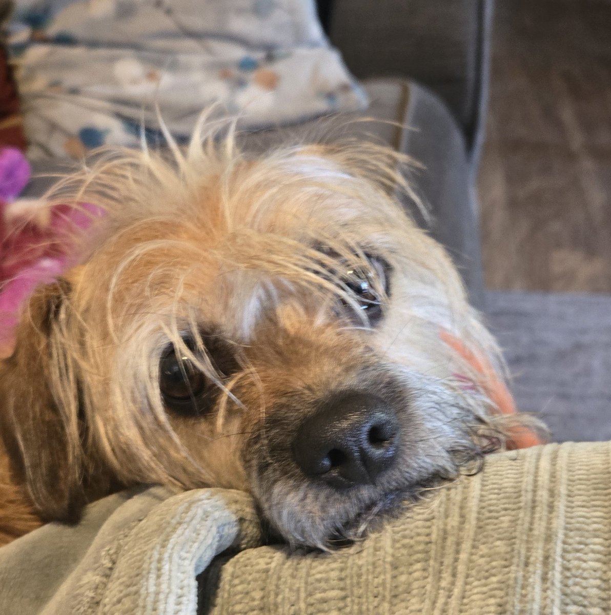 Stennie Rich tweet media