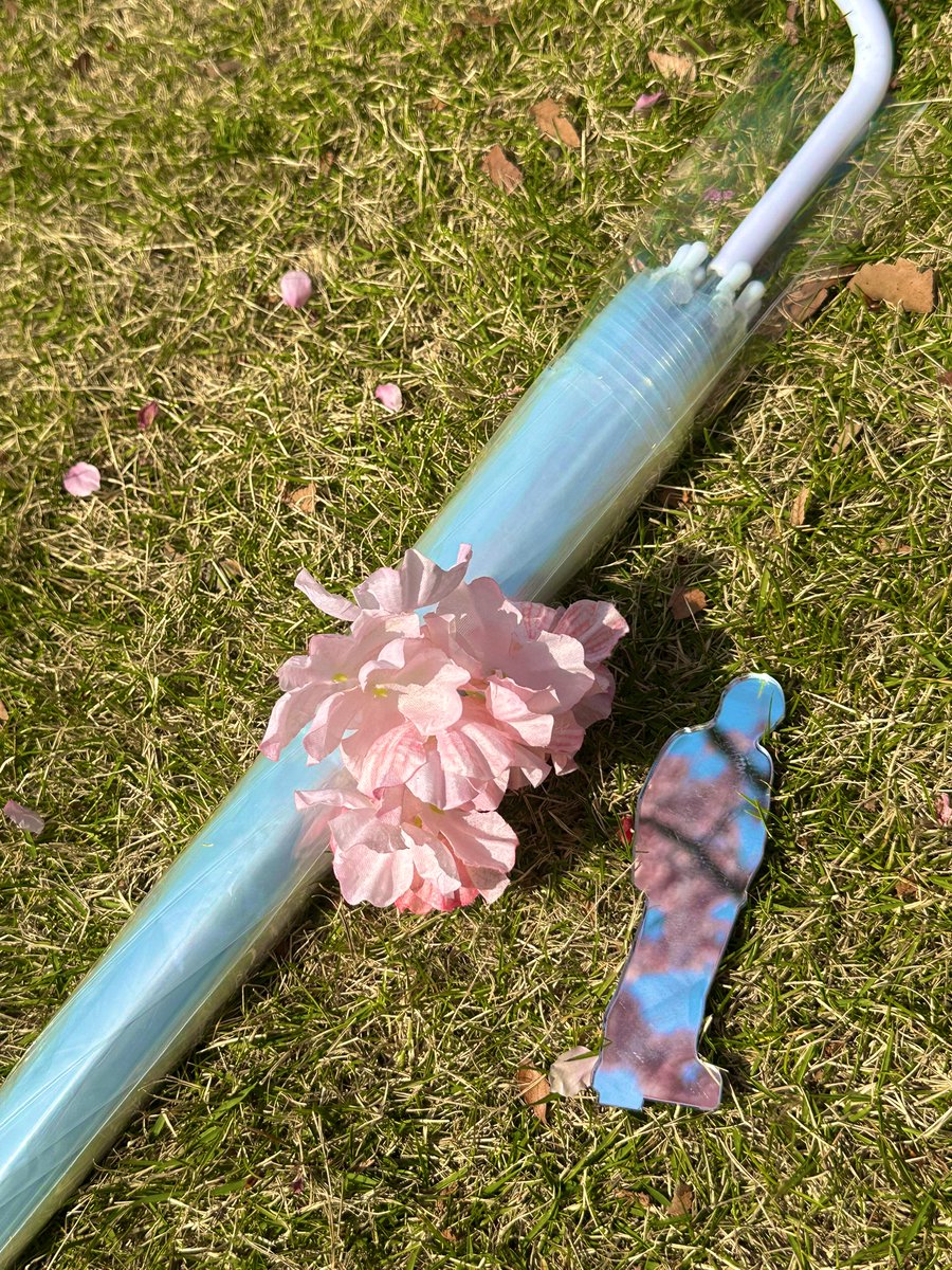hclixhi's tweet photo. 🌸 https://t.co/UQcNmoiqZI