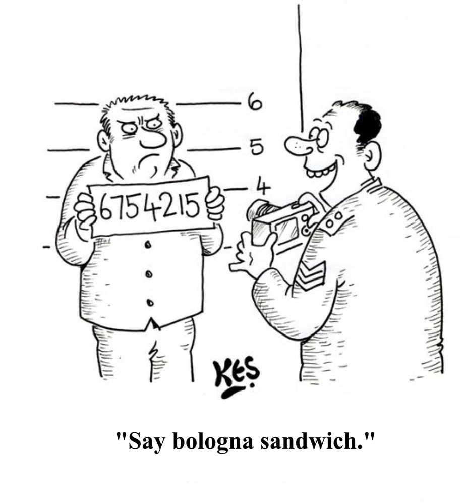 bluejayNH_recover tweet media