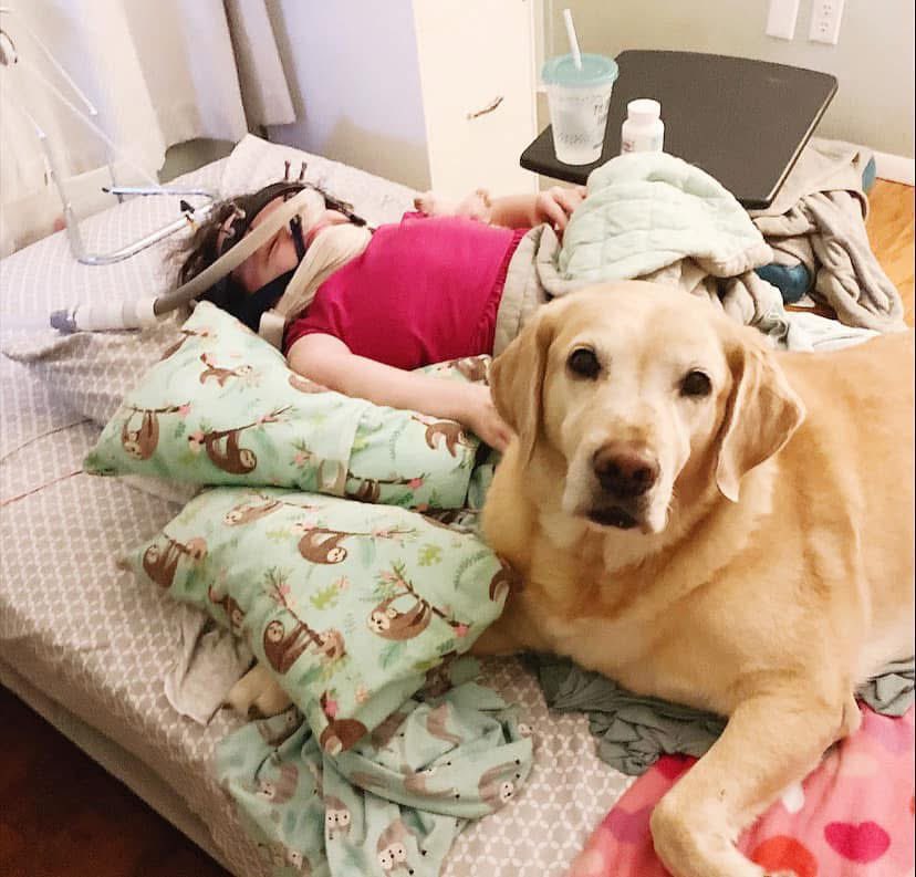 Michaela Davert tweet media