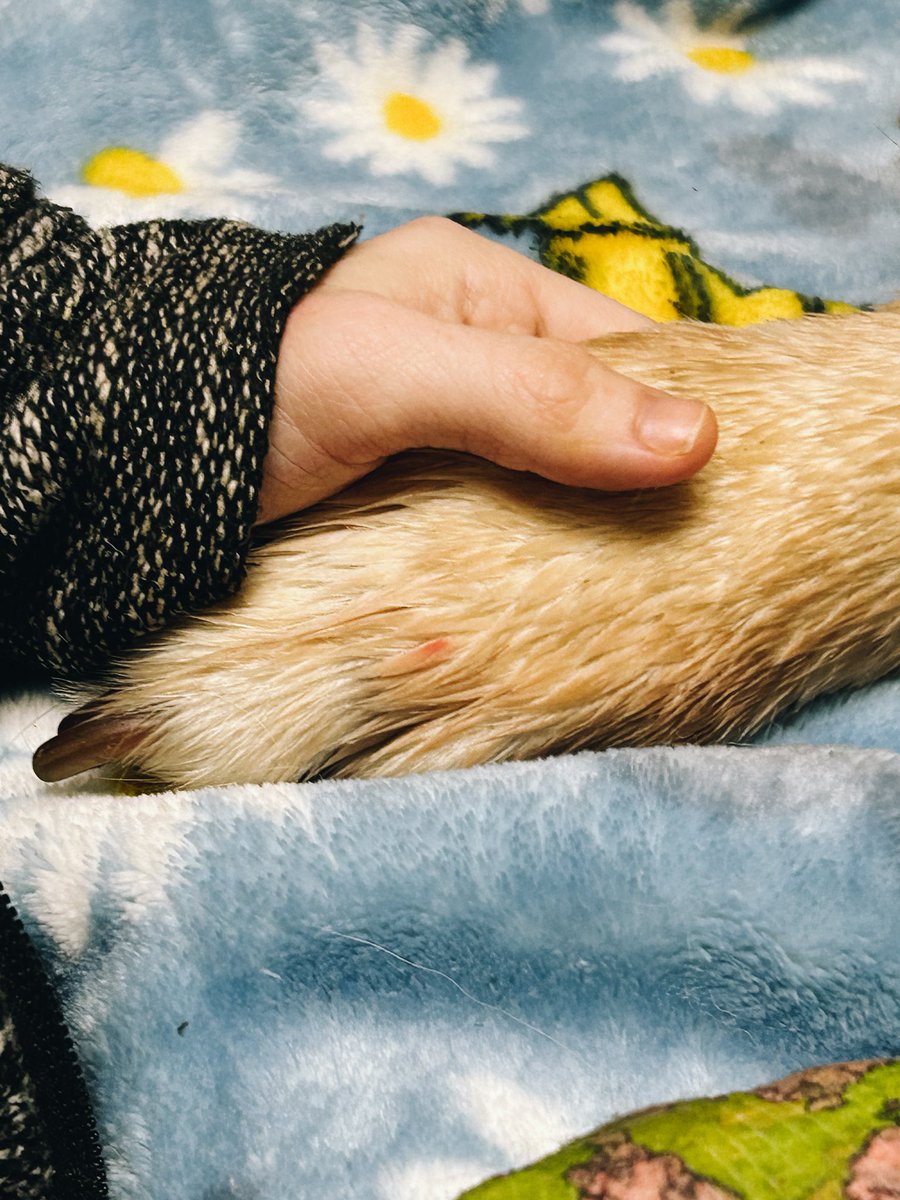 Michaela Davert tweet media