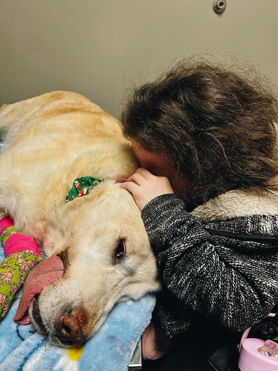 Michaela Davert tweet media