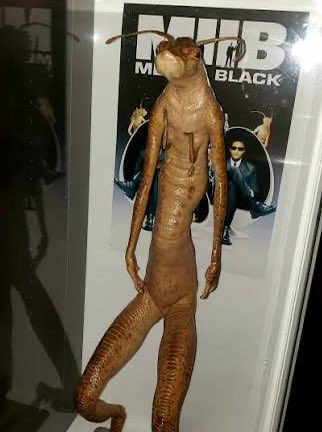 Namu (@namumuk) on Twitter photo 